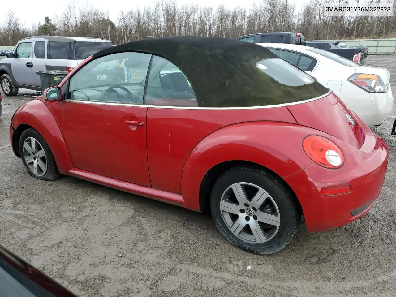 2006 Volkswagen New Beetle Convertible Option Package 1 VIN: 3VWRG31Y36M322823 Lot: 50880085