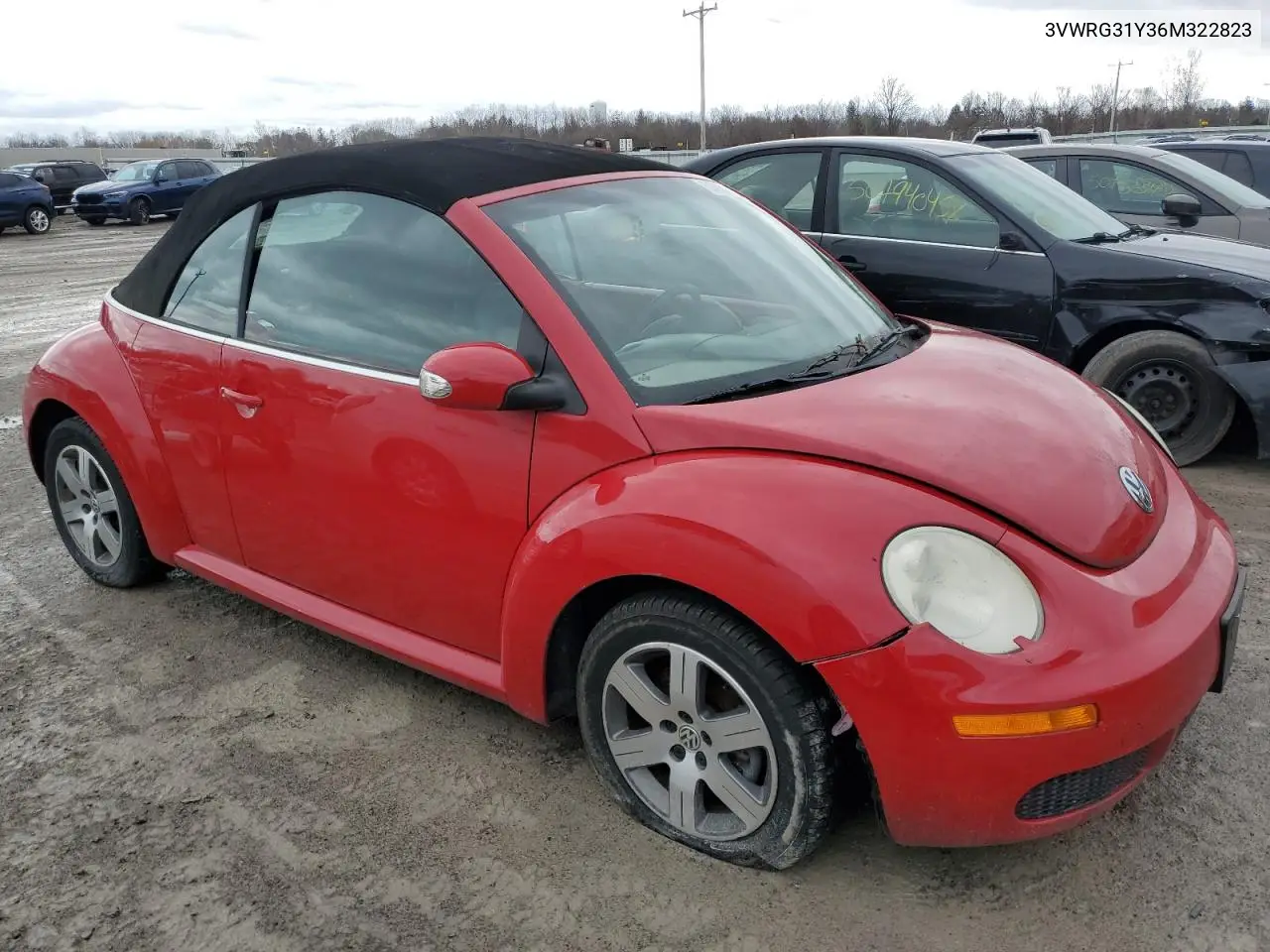 2006 Volkswagen New Beetle Convertible Option Package 1 VIN: 3VWRG31Y36M322823 Lot: 50880085