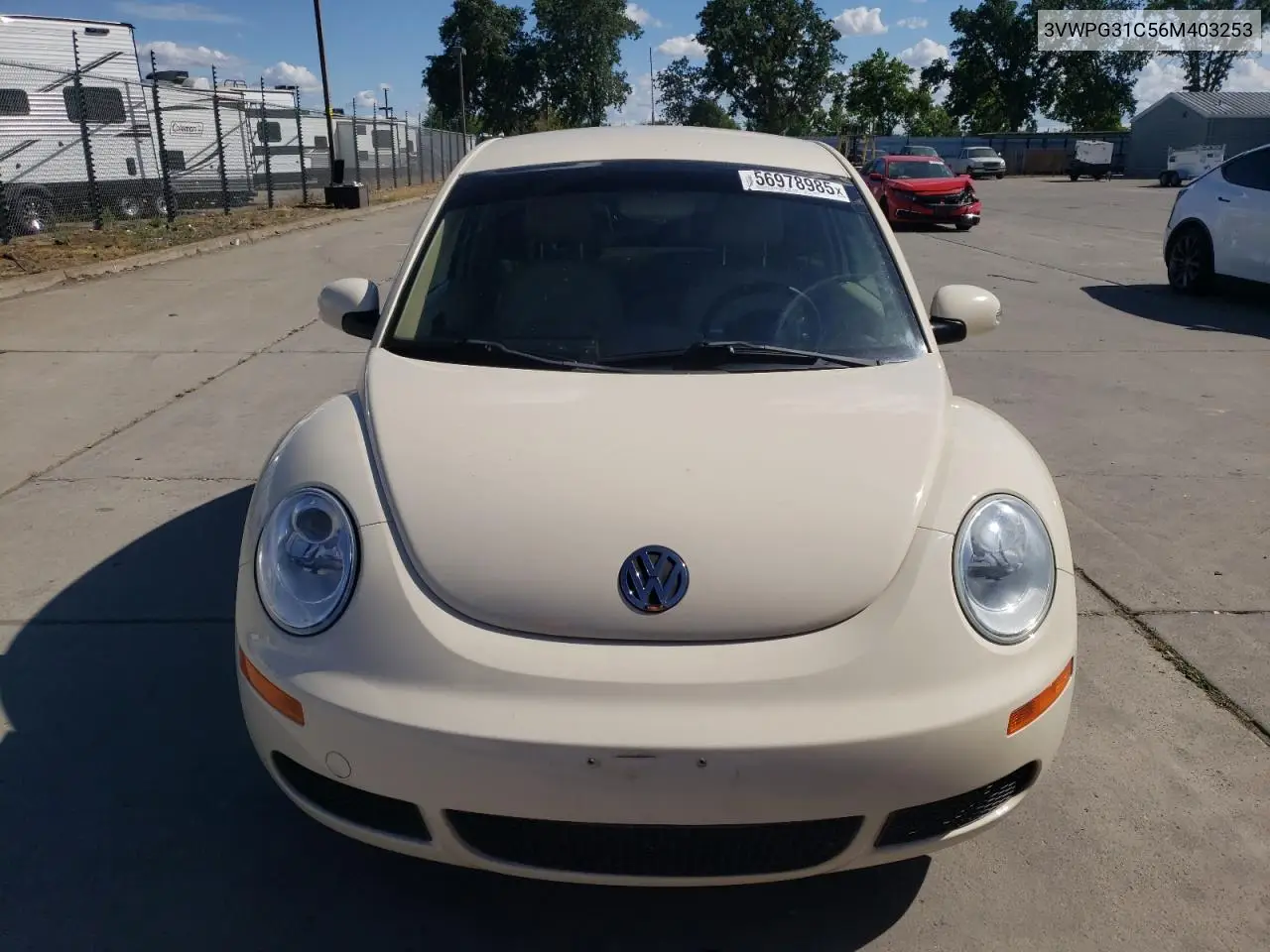 2006 Volkswagen New Beetle 2.5L VIN: 3VWPG31C56M403253 Lot: 56978985