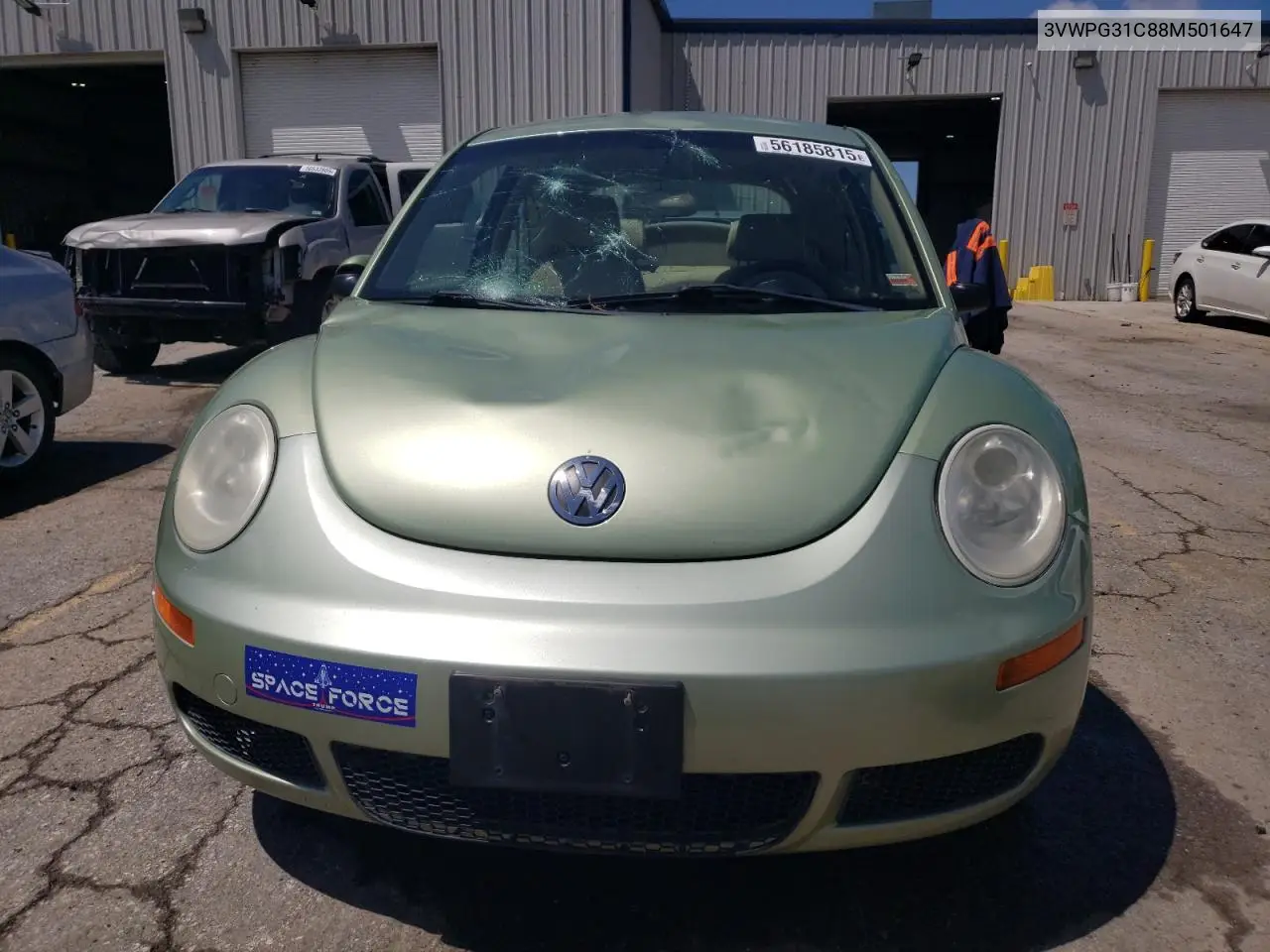 2008 Volkswagen New Beetle S VIN: 3VWPG31C88M501647 Lot: 56185815