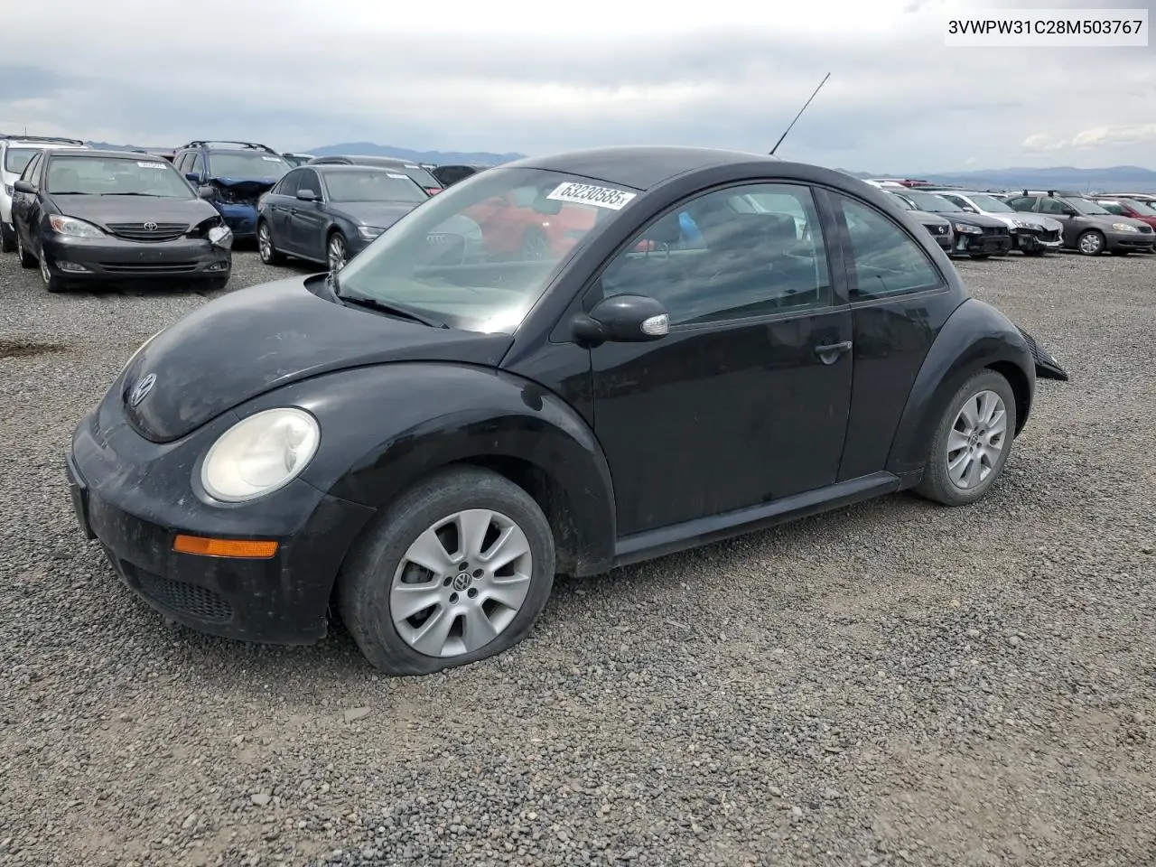 2008 Volkswagen New Beetle S VIN: 3VWPW31C28M503767 Lot: 63230585