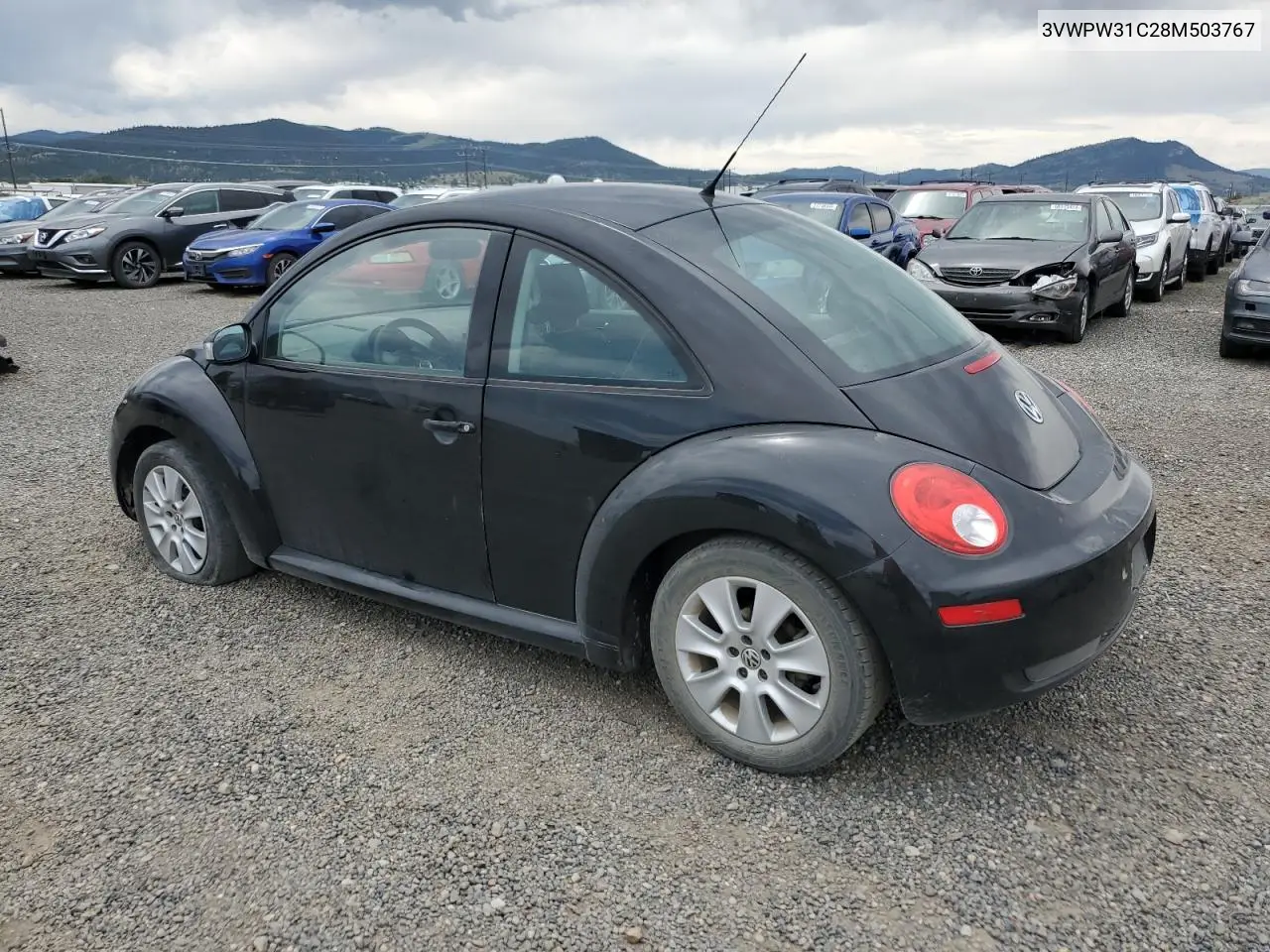 2008 Volkswagen New Beetle S VIN: 3VWPW31C28M503767 Lot: 63230585