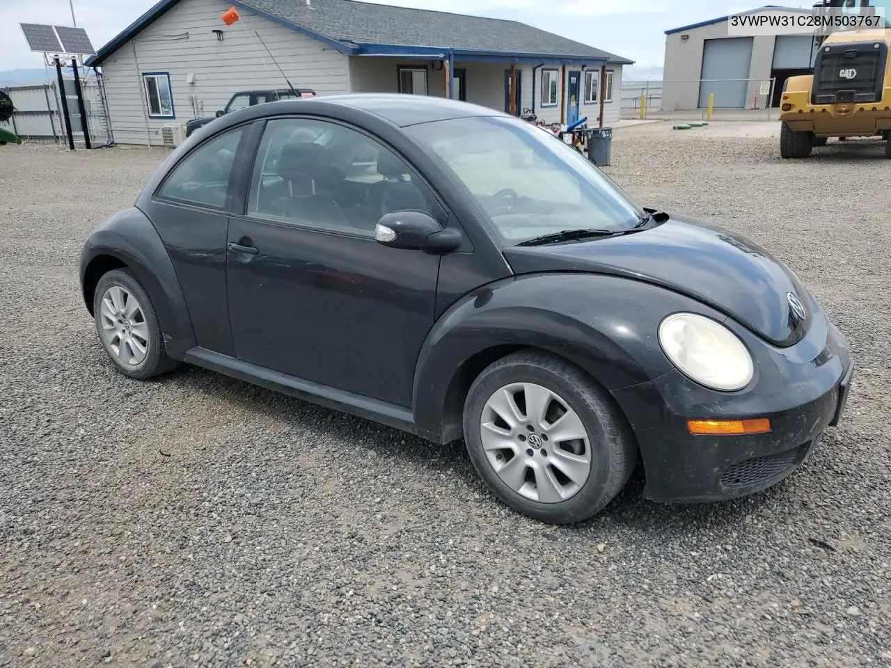 2008 Volkswagen New Beetle S VIN: 3VWPW31C28M503767 Lot: 63230585