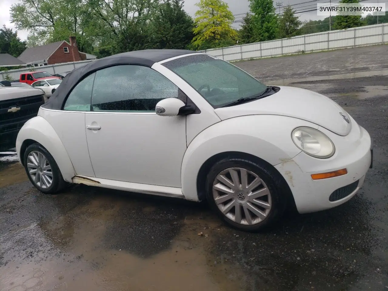 2009 Volkswagen New Beetle S VIN: 3VWRF31Y39M403747 Lot: 56206715