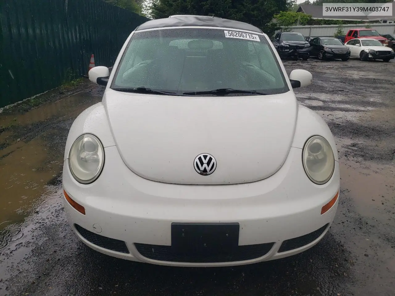 2009 Volkswagen New Beetle S VIN: 3VWRF31Y39M403747 Lot: 56206715
