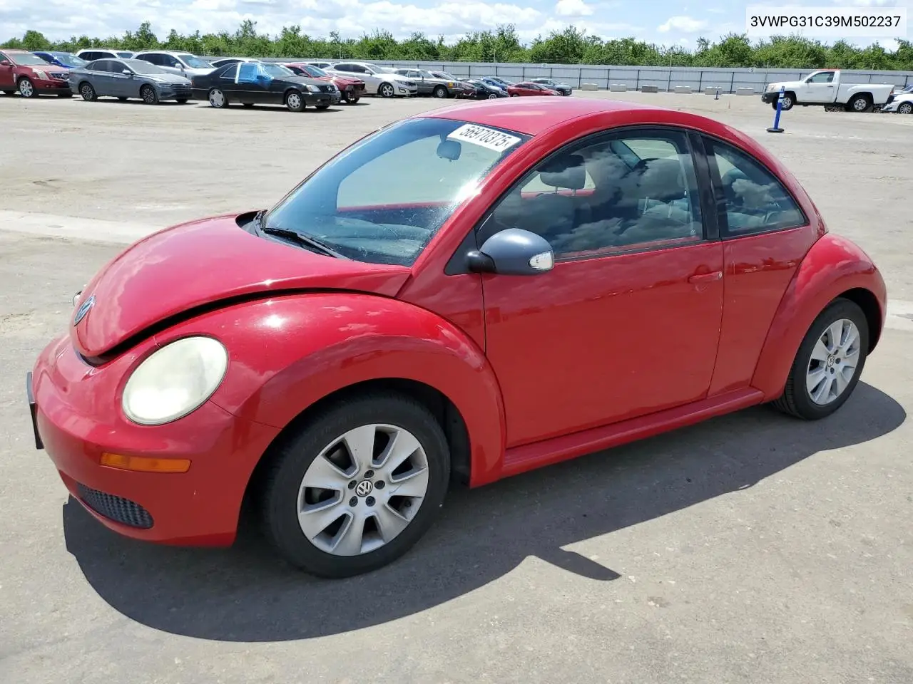 2009 Volkswagen New Beetle S VIN: 3VWPG31C39M502237 Lot: 56970375
