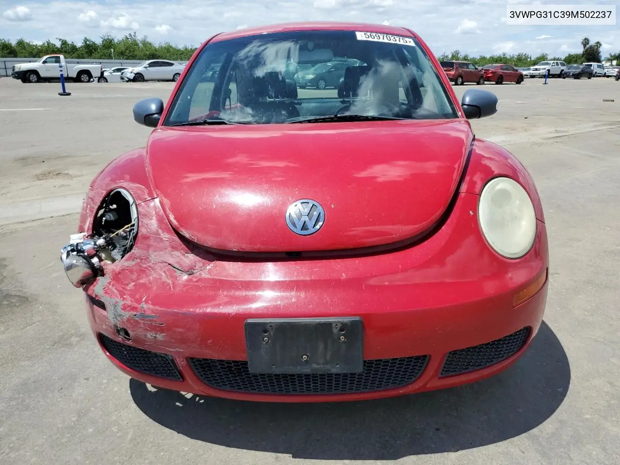 2009 Volkswagen New Beetle S VIN: 3VWPG31C39M502237 Lot: 56970375