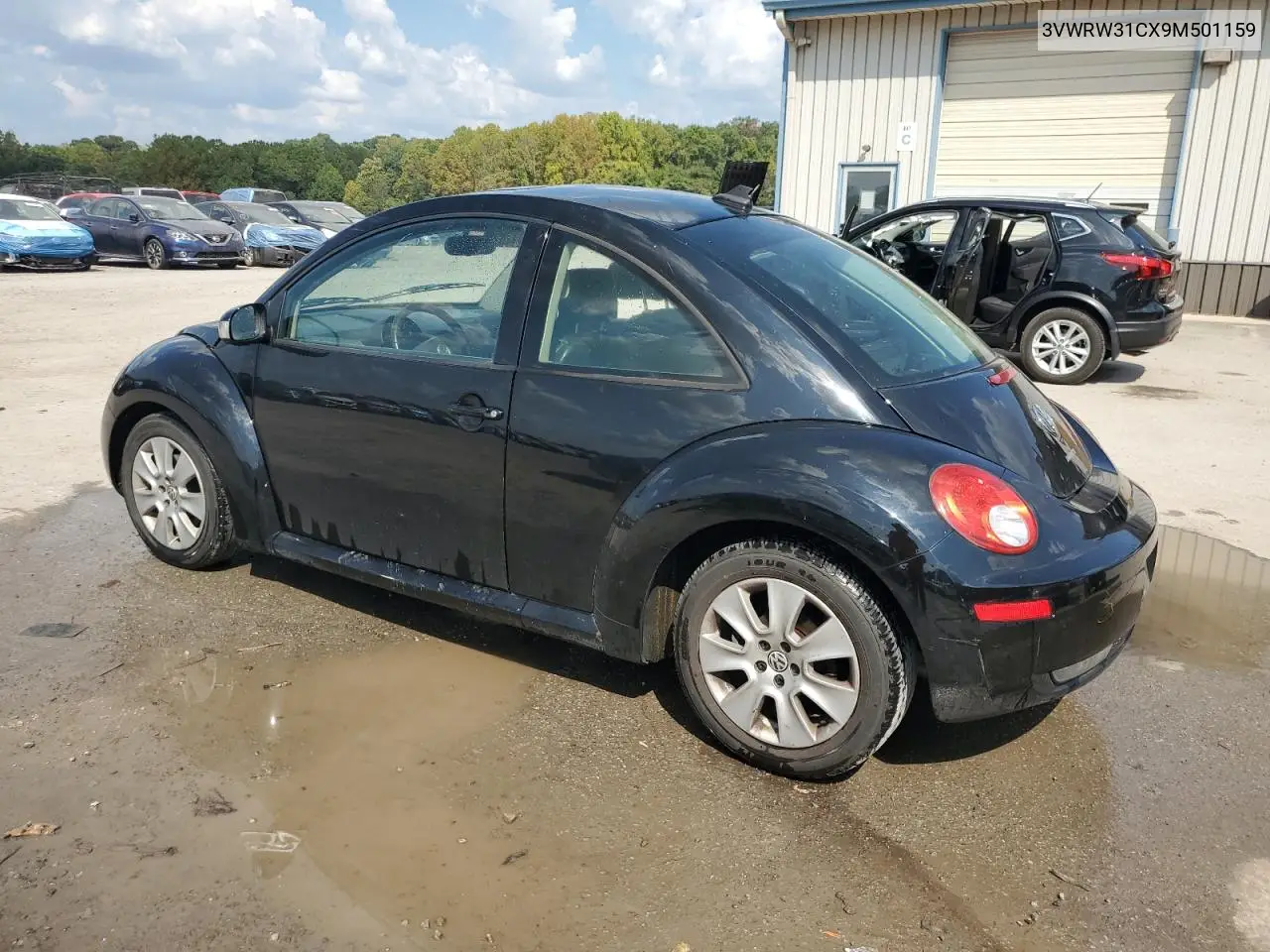 2009 Volkswagen New Beetle S VIN: 3VWRW31CX9M501159 Lot: 72330694