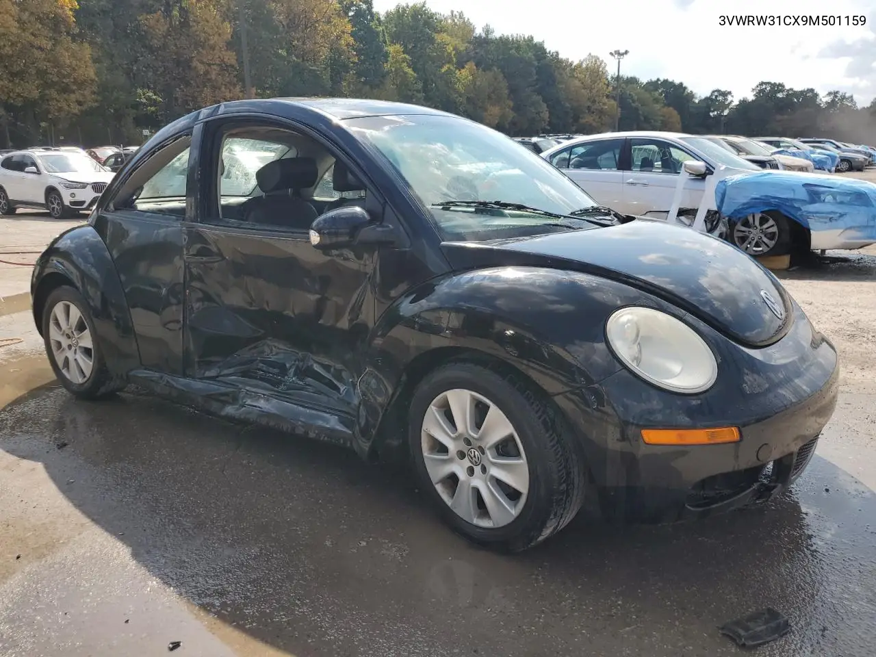 2009 Volkswagen New Beetle S VIN: 3VWRW31CX9M501159 Lot: 72330694