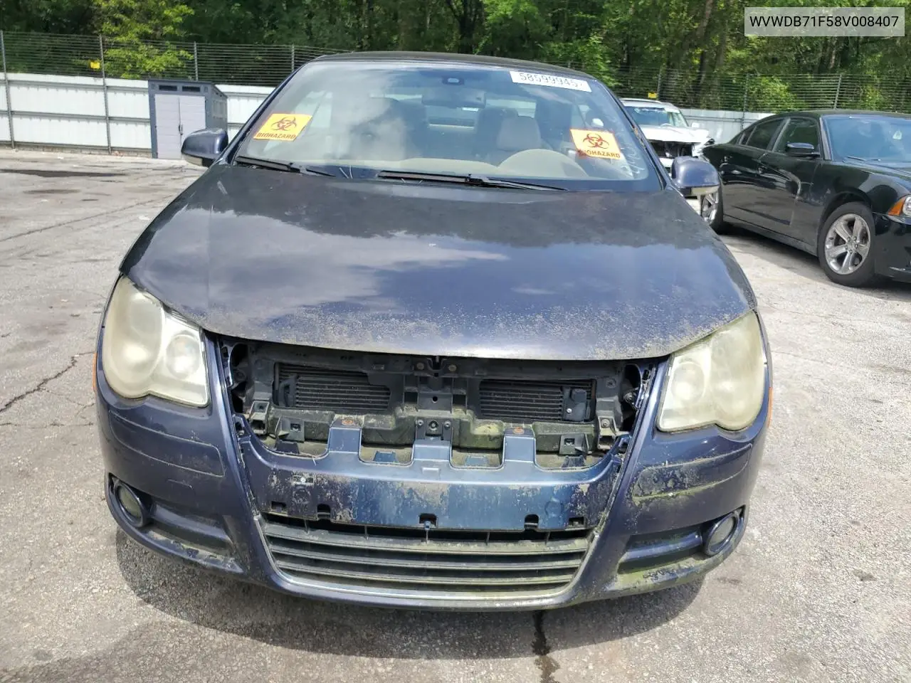 2008 Volkswagen Eos Vr6 VIN: WVWDB71F58V008407 Lot: 58599945