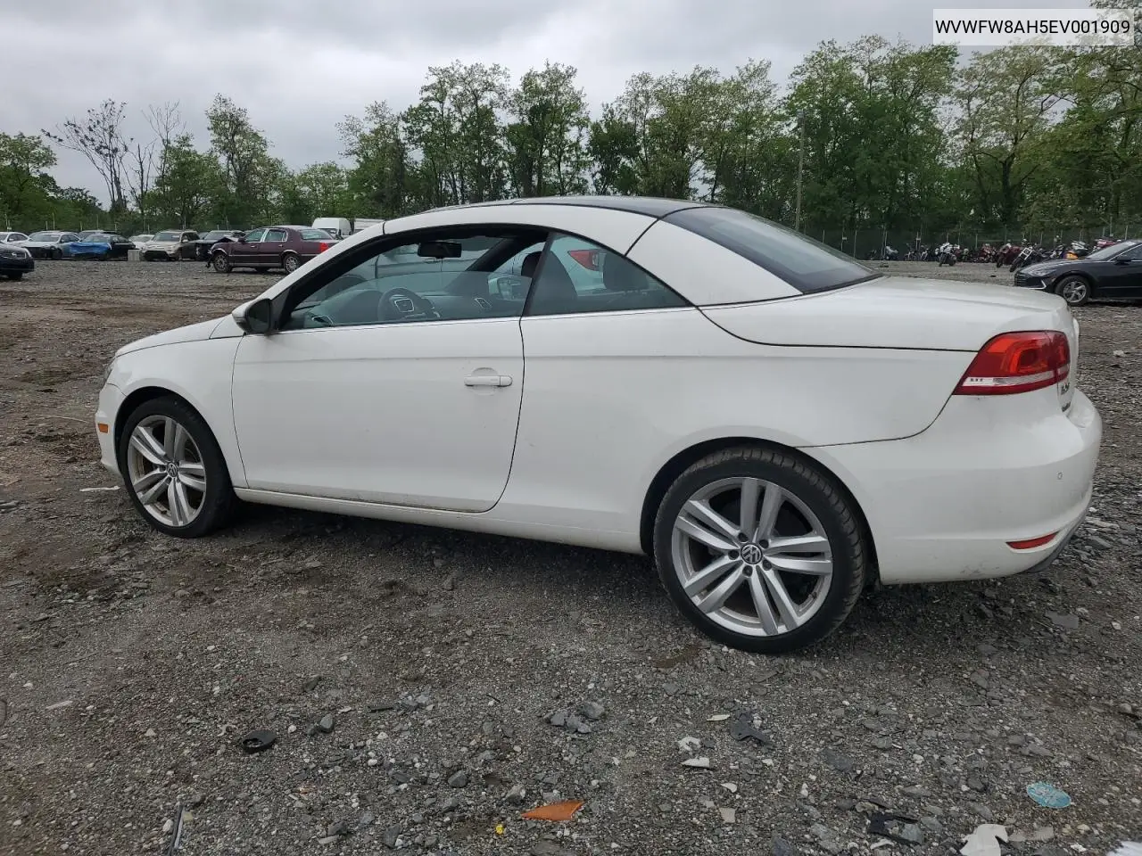 2014 Volkswagen Eos Lux VIN: WVWFW8AH5EV001909 Lot: 55760175