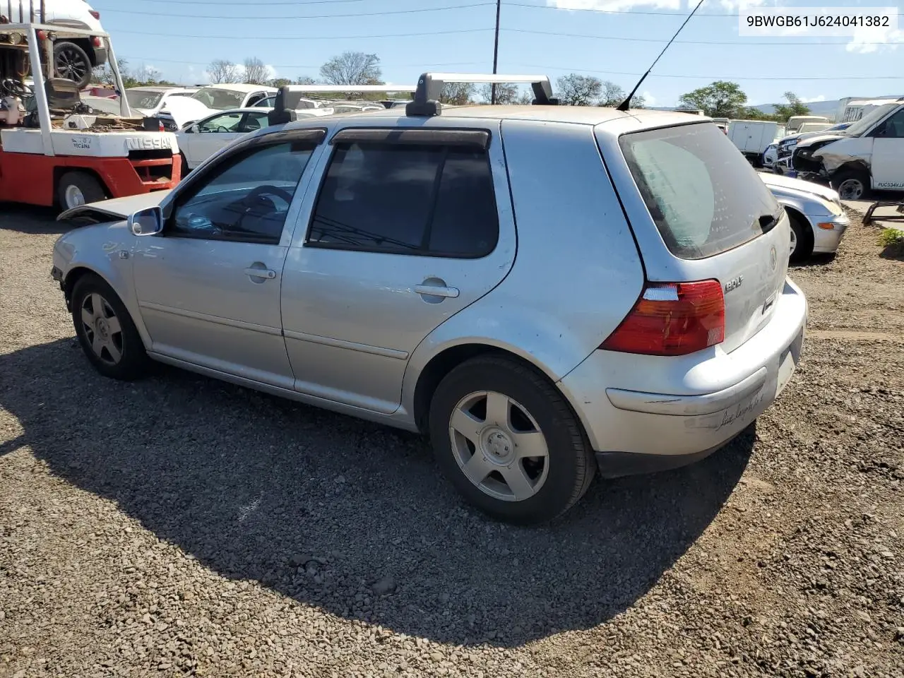 2002 Volkswagen Golf Gls VIN: 9BWGB61J624041382 Lot: 52049405
