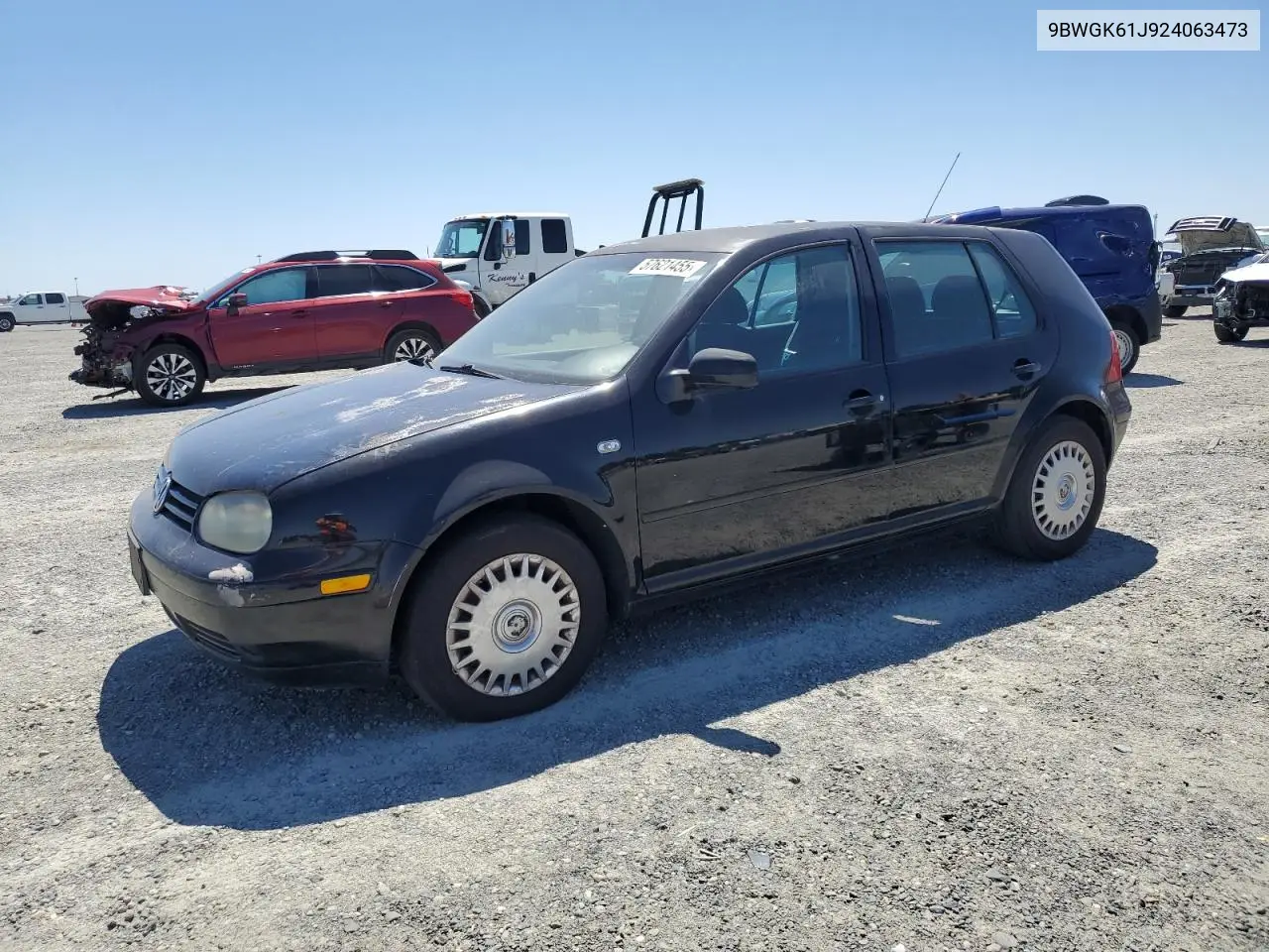 2002 Volkswagen Golf Gls VIN: 9BWGK61J924063473 Lot: 57621455