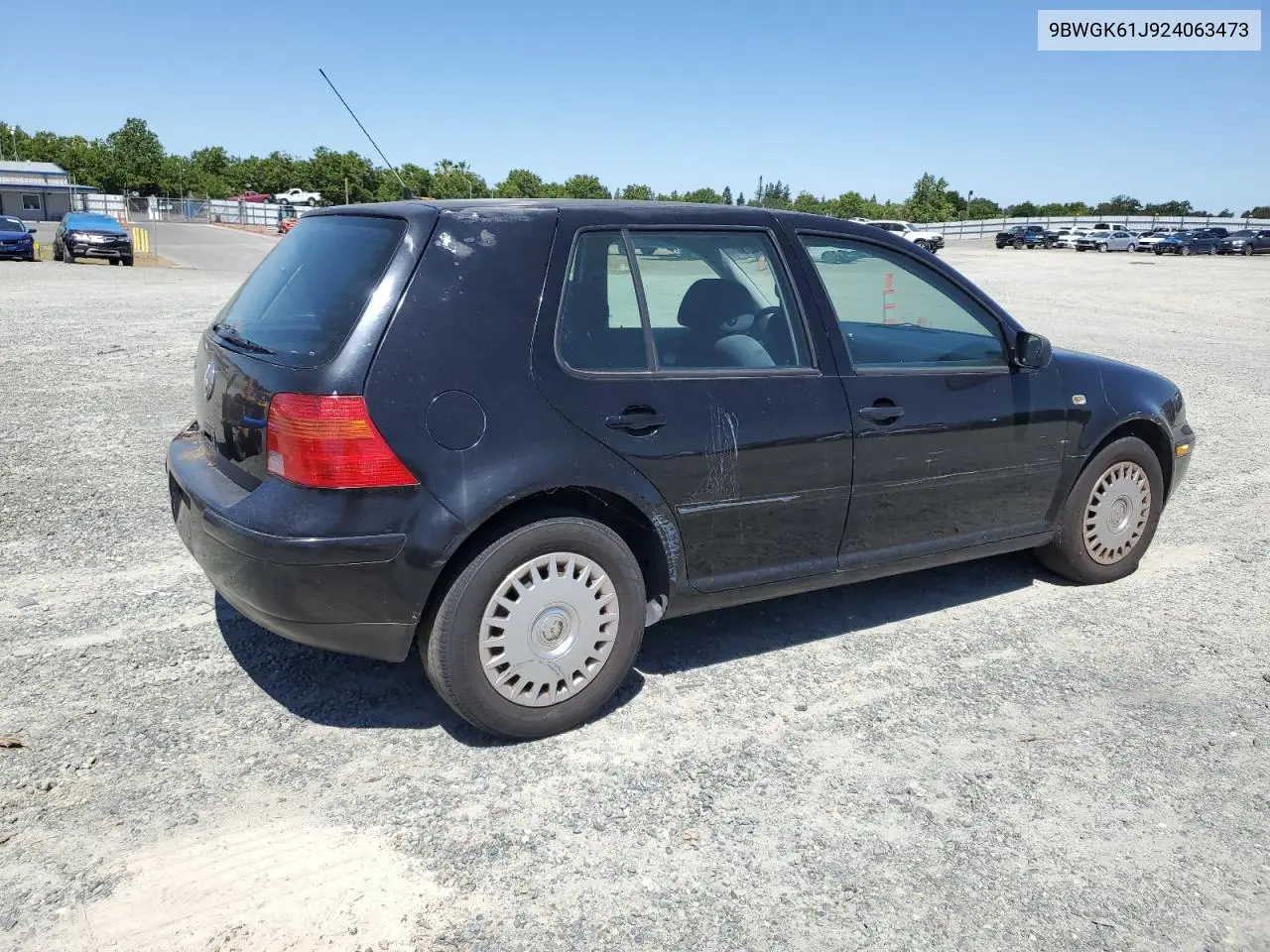 2002 Volkswagen Golf Gls VIN: 9BWGK61J924063473 Lot: 57621455