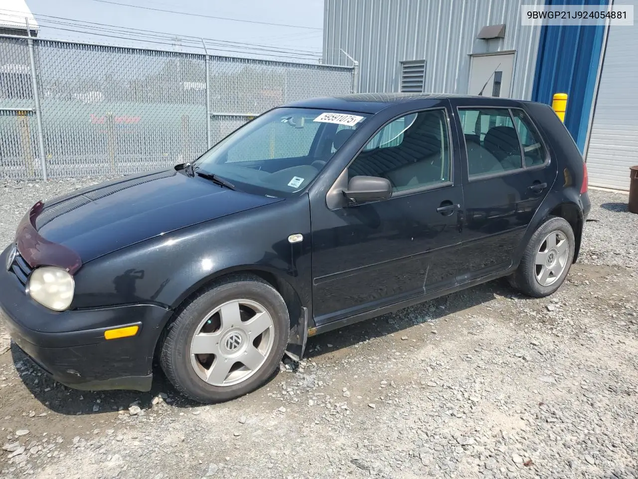 2002 Volkswagen Golf Gls Tdi VIN: 9BWGP21J924054881 Lot: 59591075