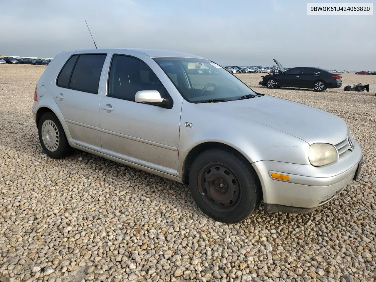 2002 Volkswagen Golf Gls VIN: 9BWGK61J424063820 Lot: 60157044