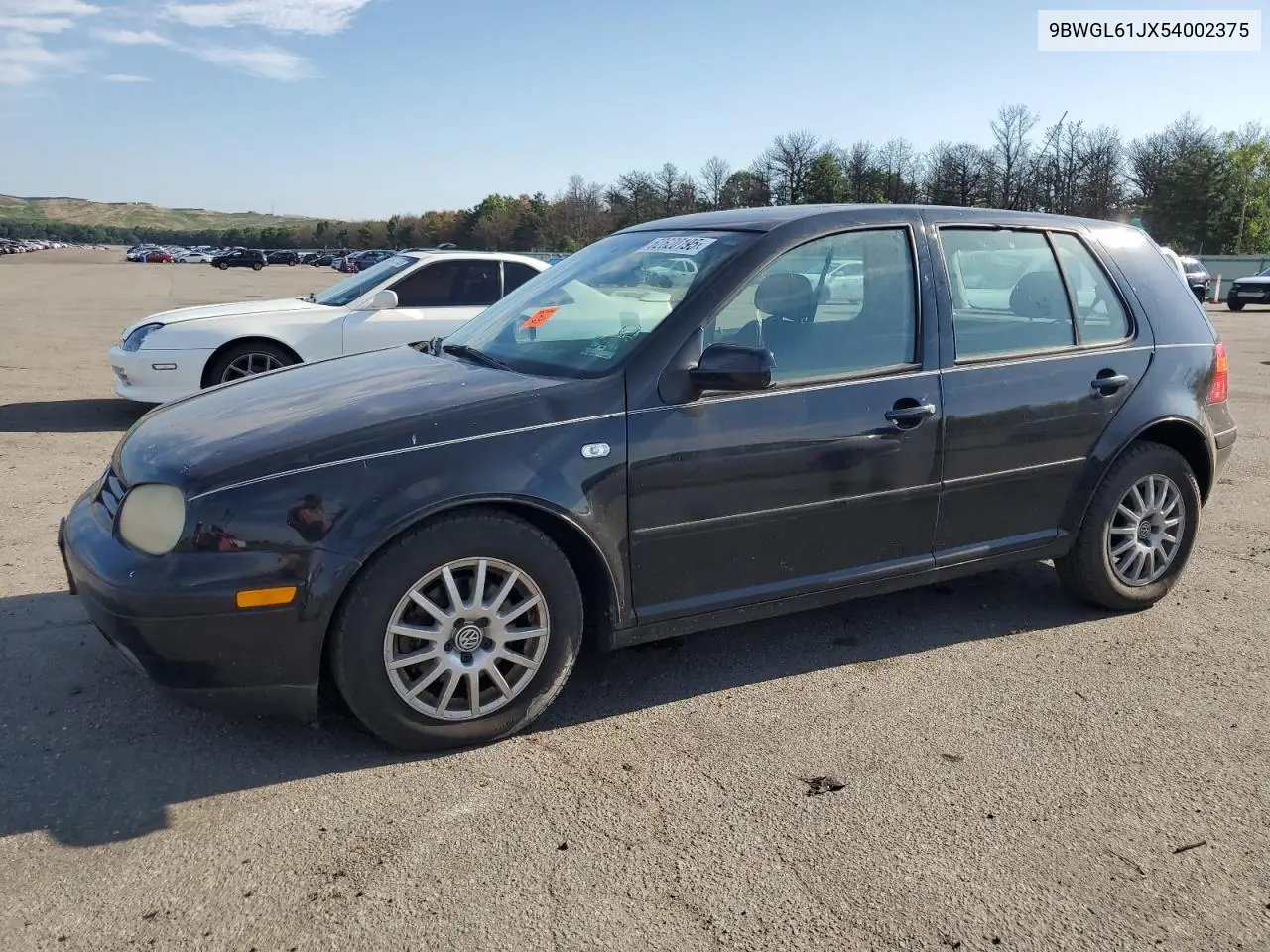 2005 Volkswagen Golf Gls VIN: 9BWGL61JX54002375 Lot: 62620195