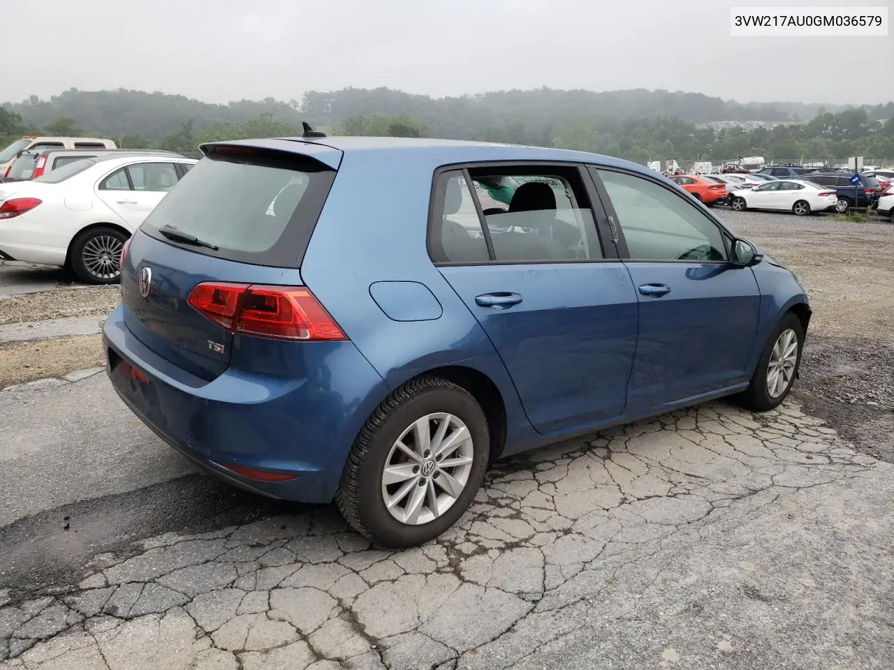 2016 Volkswagen Golf S/Se VIN: 3VW217AU0GM036579 Lot: 62497615