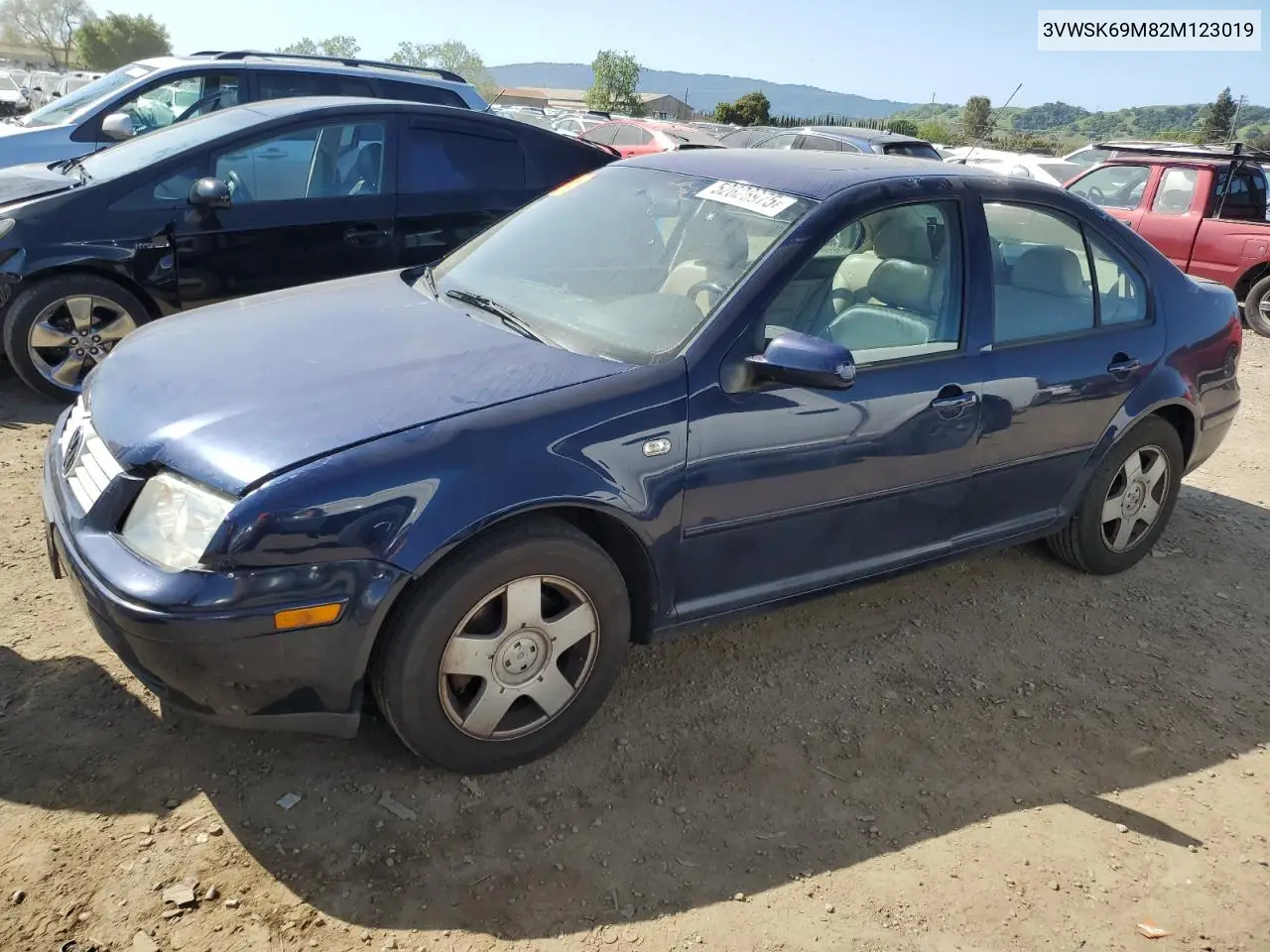 2002 Volkswagen Jetta Gls VIN: 3VWSK69M82M123019 Lot: 52626975