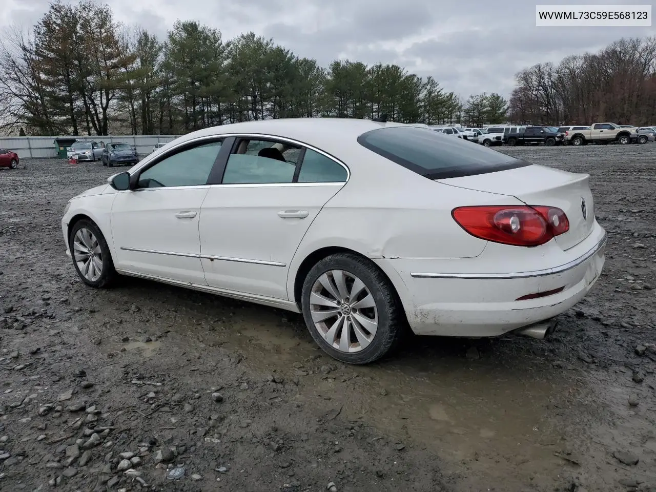 2009 Volkswagen Cc Sport VIN: WVWML73C59E568123 Lot: 48614015