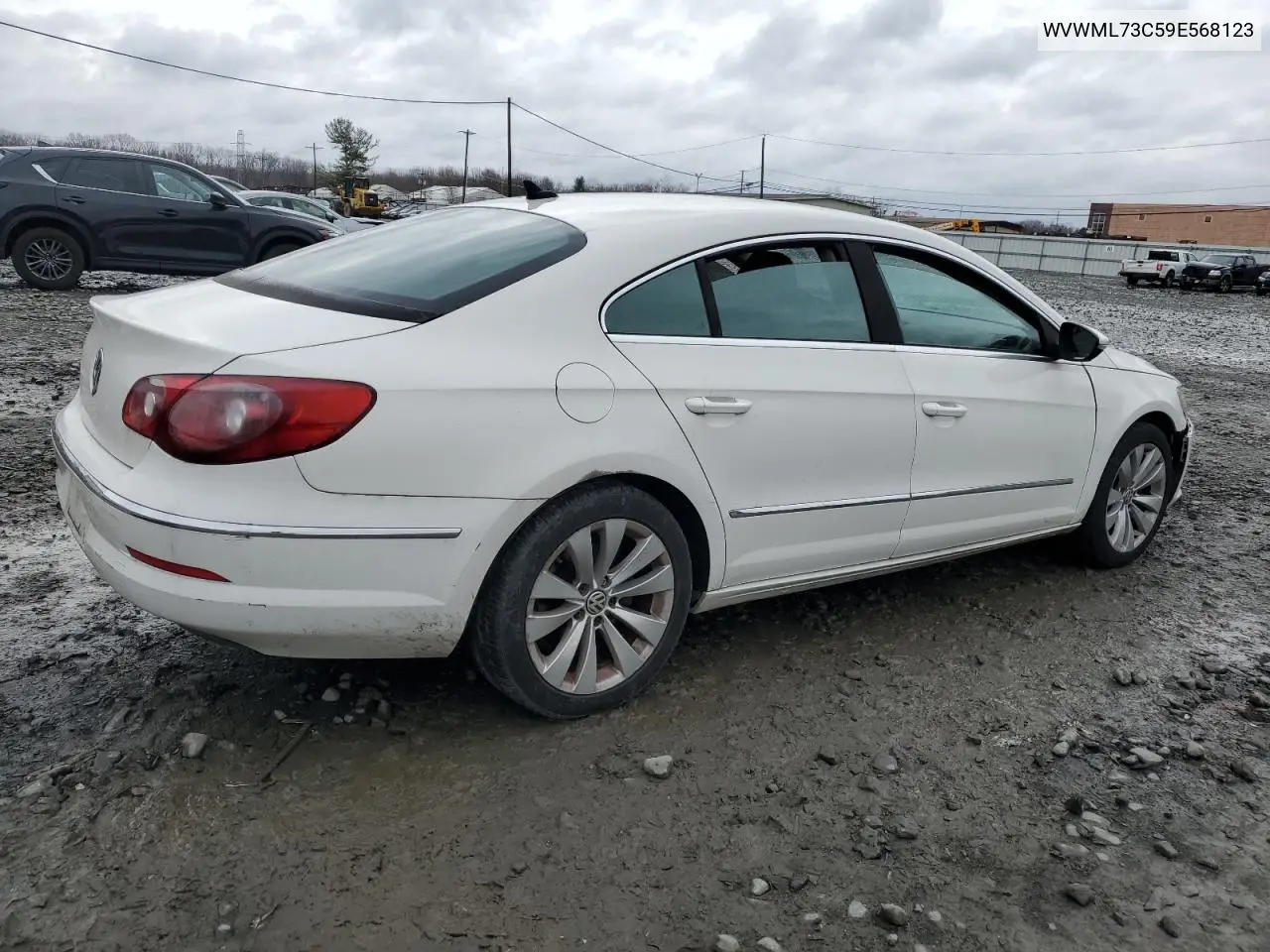 2009 Volkswagen Cc Sport VIN: WVWML73C59E568123 Lot: 48614015