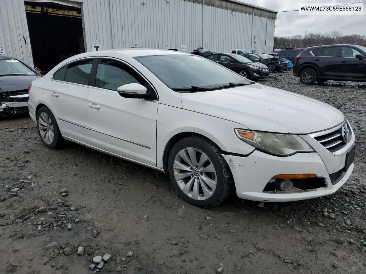 2009 Volkswagen Cc Sport VIN: WVWML73C59E568123 Lot: 48614015