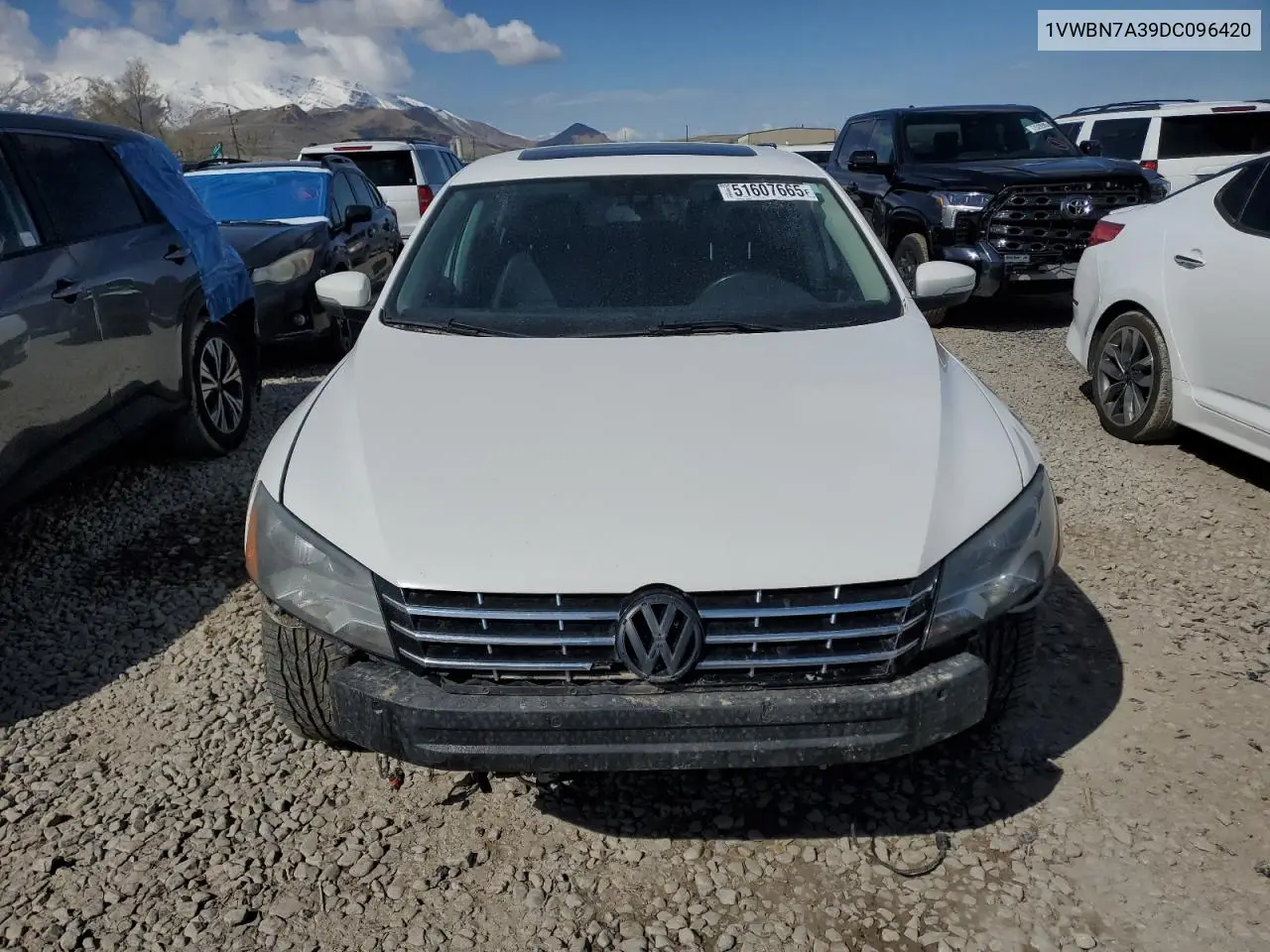 2013 Volkswagen Passat Se VIN: 1VWBN7A39DC096420 Lot: 51607665