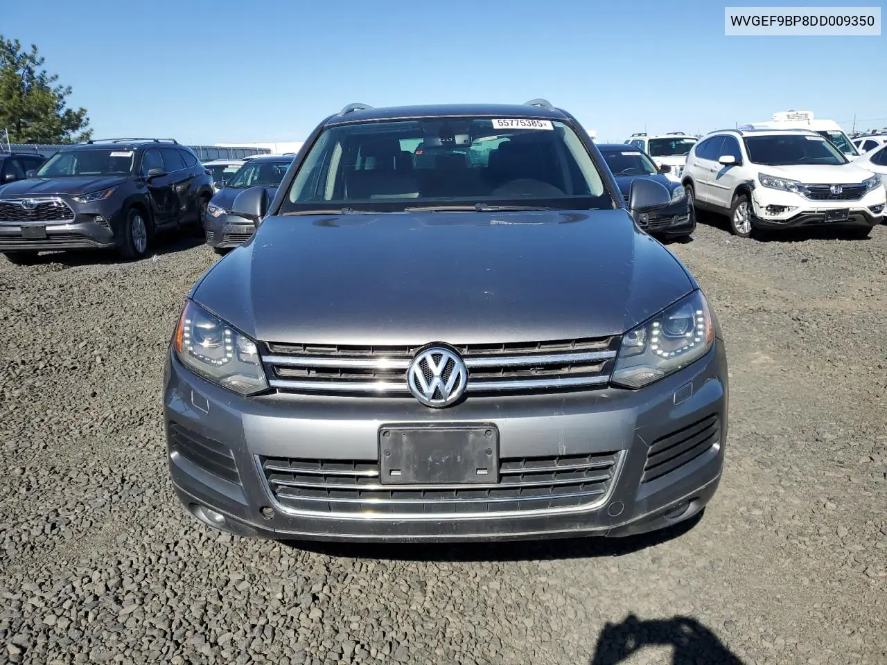 2013 Volkswagen Touareg V6 VIN: WVGEF9BP8DD009350 Lot: 55775385