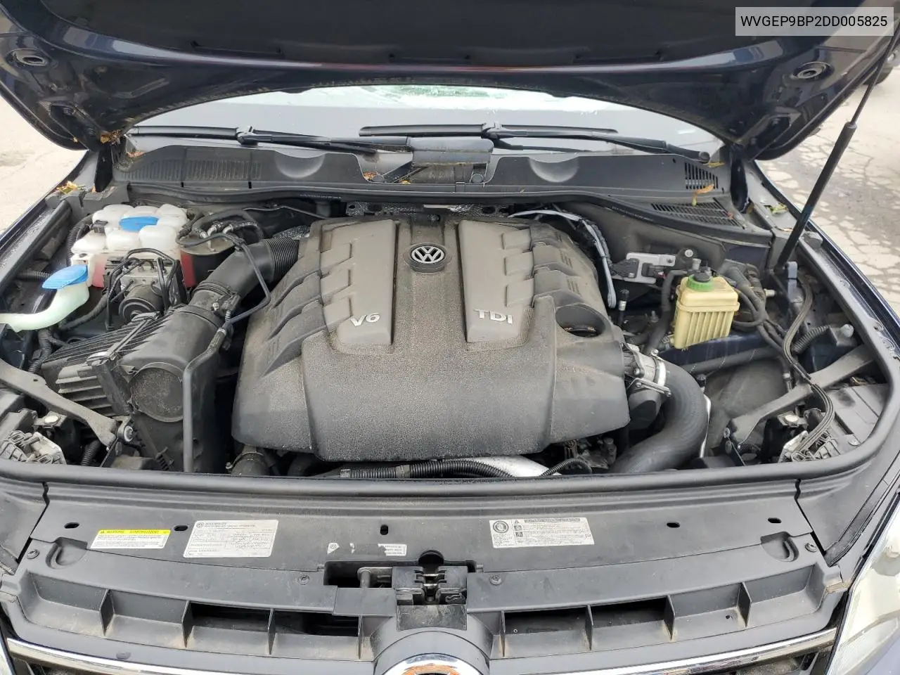 2013 Volkswagen Touareg V6 Tdi VIN: WVGEP9BP2DD005825 Lot: 62827515