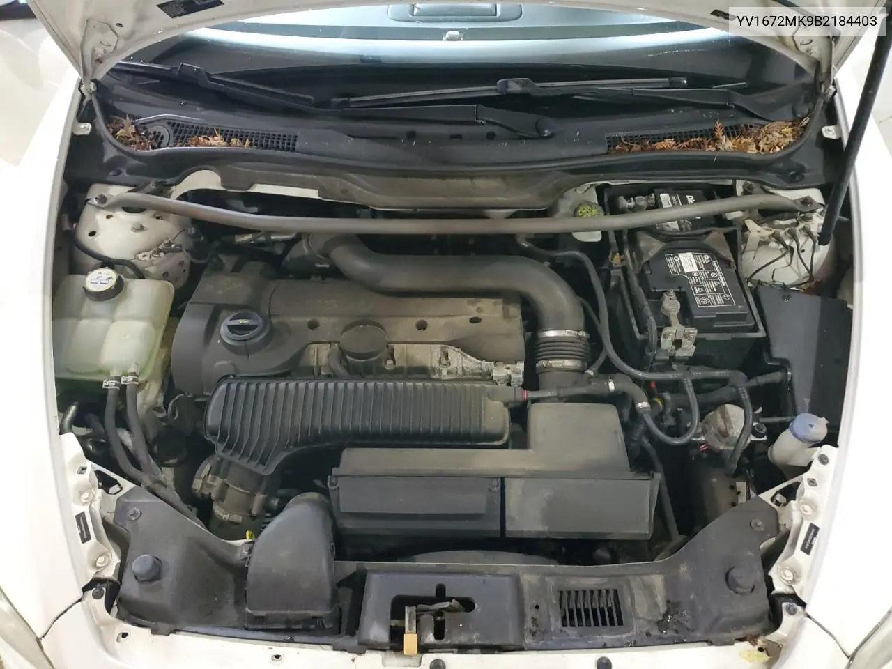 2011 Volvo C30 T5 VIN: YV1672MK9B2184403 Lot: 57529545