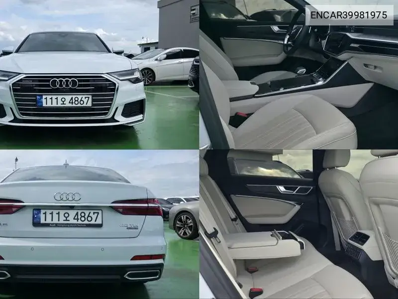 A6 (C8) 40 Tdi Quattro Premium VIN: ENCAR39981975 Lot: 39981975