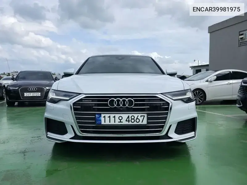 A6 (C8) 40 Tdi Quattro Premium VIN: ENCAR39981975 Lot: 39981975
