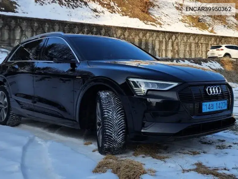 E-Tron 55 Quattro VIN: ENCAR39950362 Lot: 39950362