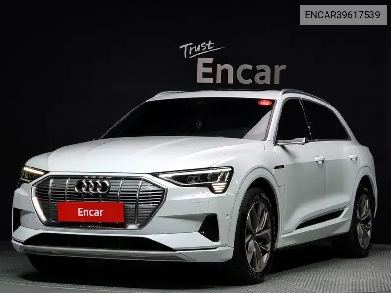 E-Tron 55 Quattro VIN: ENCAR39617539 Lot: 39617539