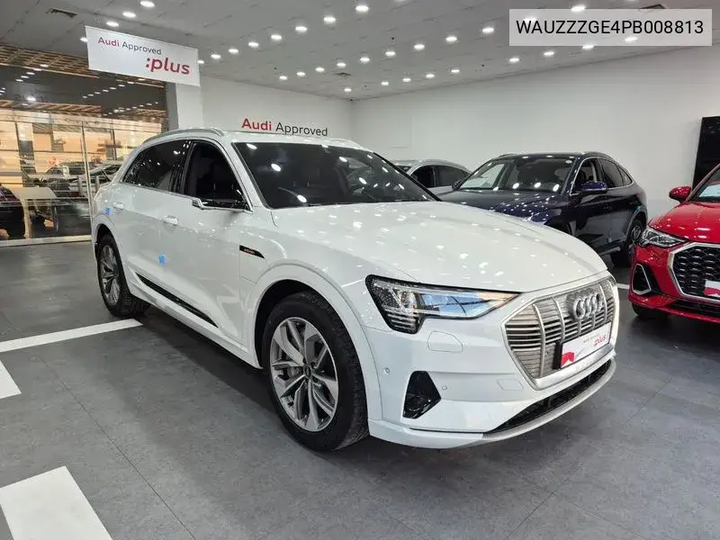 E-Tron 55 Quattro VIN: WAUZZZGE4PB008813 Lot: 38972627