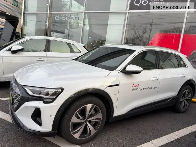 Q8 E-Tron (Ge) 55 Quattro VIN: ENCAR38802160 Lot: 38802160
