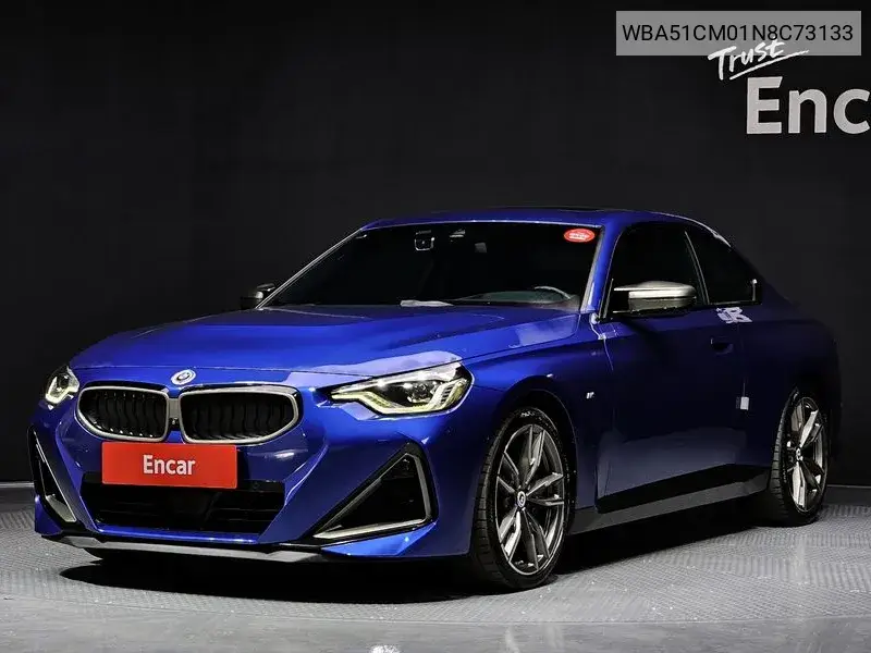2 Series (G42) M240I xDrive Coupe VIN: WBA51CM01N8C73133 Lot: 39518558