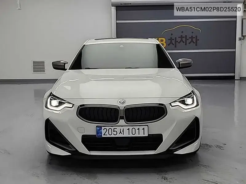 2 Series (G42) M240I xDrive Coupe VIN: WBA51CM02P8D25520 Lot: 39704497