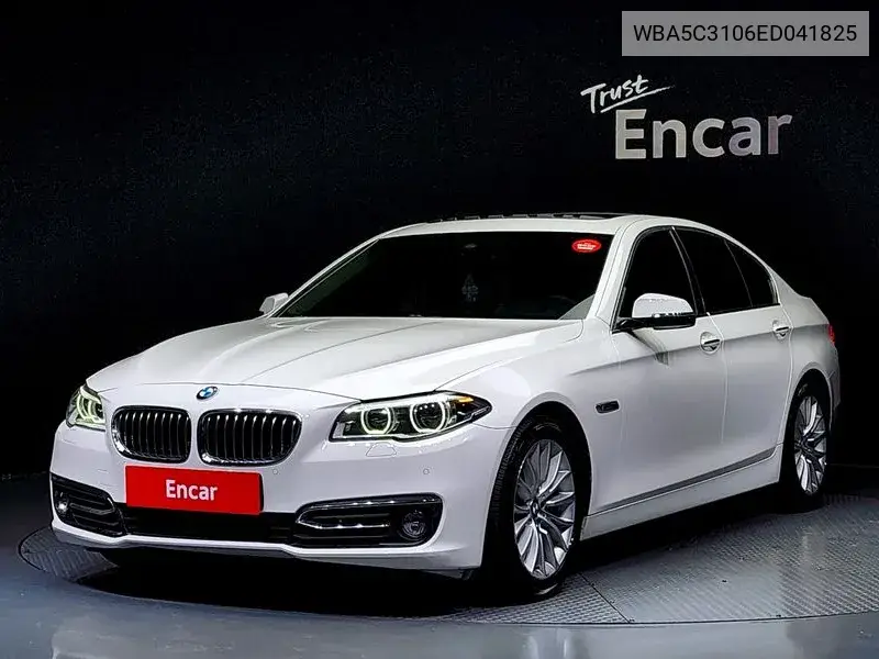 5 Series (F10) 520D Luxury VIN: WBA5C3106ED041825 Lot: 39625658