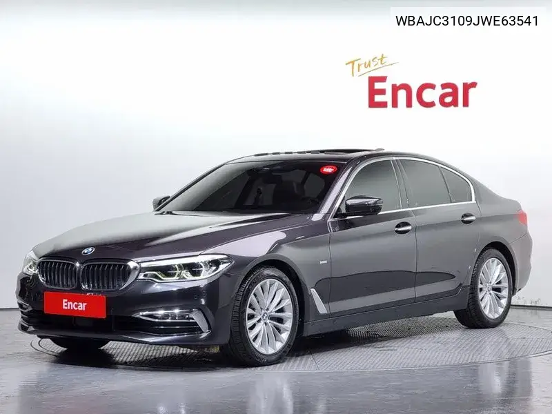 5 Series (G30) 520D Luxury Plus VIN: WBAJC3109JWE63541 Lot: 39977071