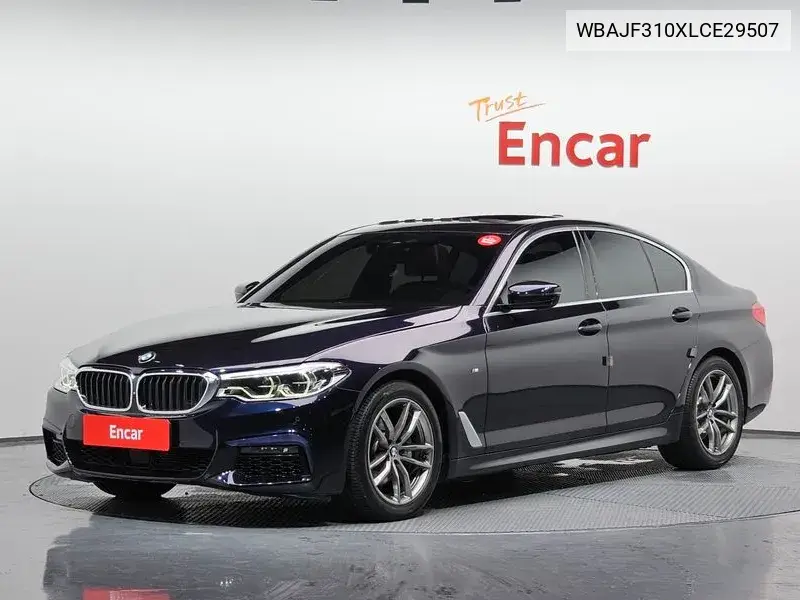 5 Series (G30) 520D M Sports Plus VIN: WBAJF310XLCE29507 Lot: 39989562