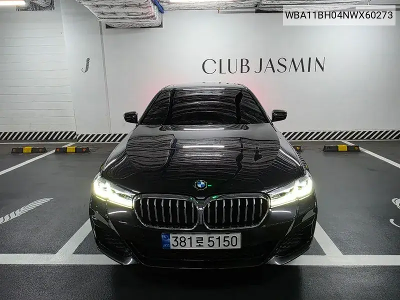 5 Series (G30) 520I M Sports VIN: WBA11BH04NWX60273 Lot: 39597068