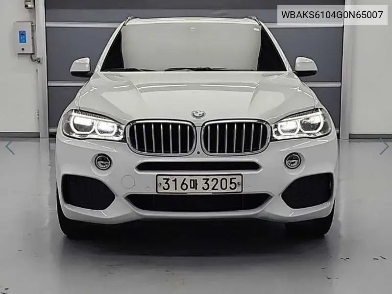 X5 (F15) xDrive 40D VIN: WBAKS6104G0N65007 Lot: 40010091