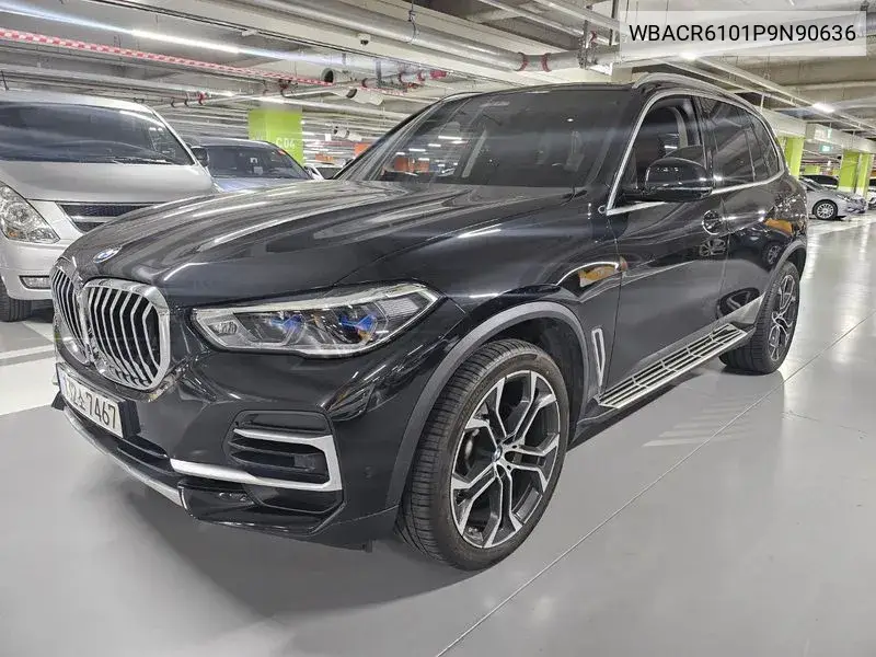 X5 (G05) xDrive 40I Xline VIN: WBACR6101P9N90636 Lot: 39281638