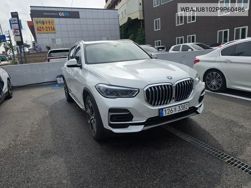 X5 (G05) xDrive 30D Xline VIN: WBAJU8102P9P60486 Lot: 40012617