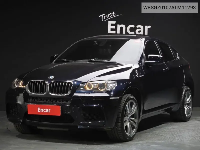 X6M (E71) 4.4 VIN: WBSGZ0107ALM11293 Lot: 39024598