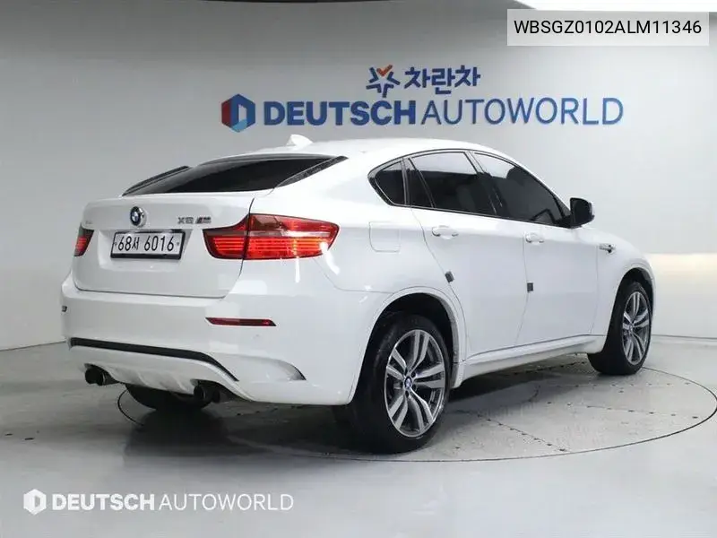 X6M (E71) 4.4 VIN: WBSGZ0102ALM11346 Lot: 39984334