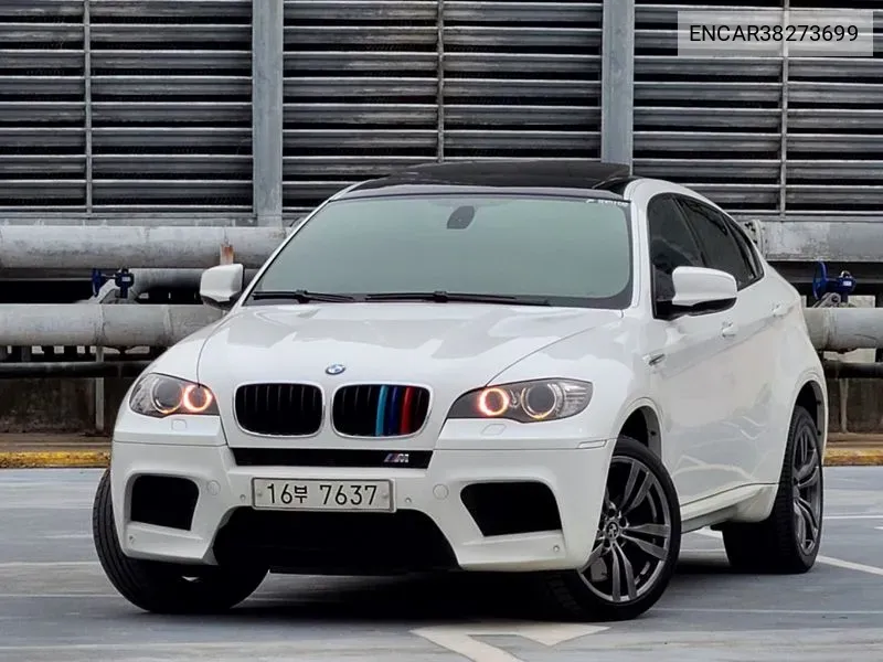 X6M (E71)4.4 VIN: ENCAR38273699 Lot: 38273699