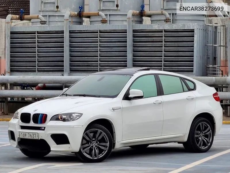 X6M (E71)4.4 VIN: ENCAR38273699 Lot: 38273699
