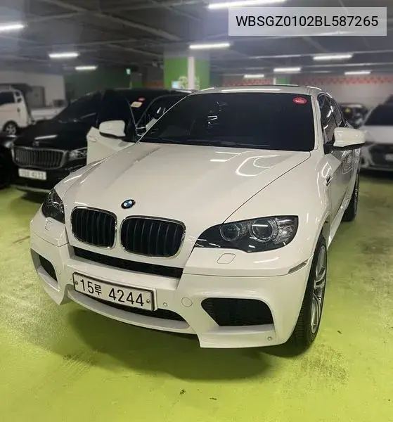 X6M (E71) 4.4 VIN: WBSGZ0102BL587265 Lot: 39227126
